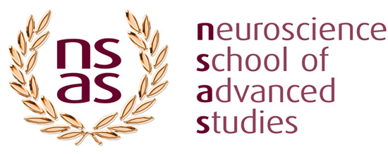NSAS